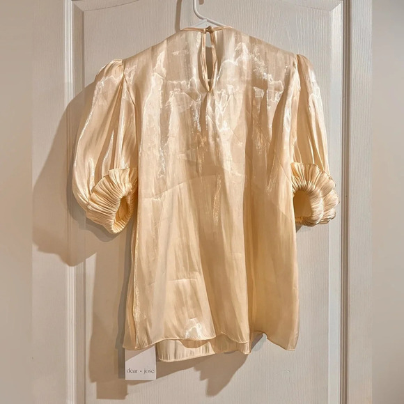 NWT Dear Jose Ivory Organza Blouse - Picture 7 of 14